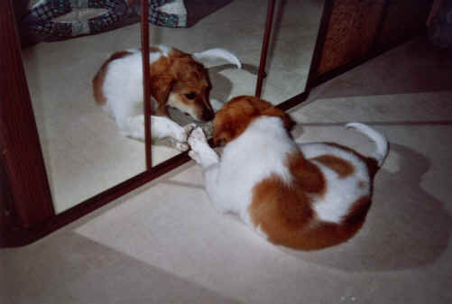 wpe14.jpg (13743 Byte)