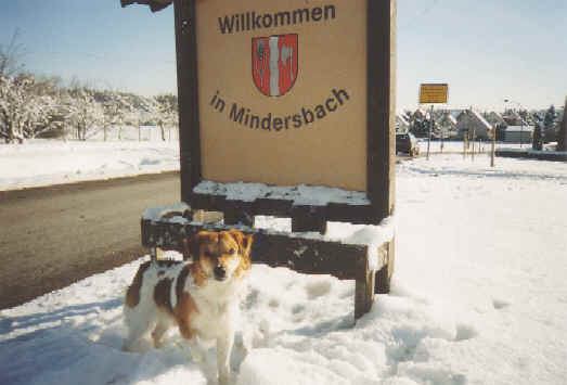 wpe15.jpg (19160 Byte)